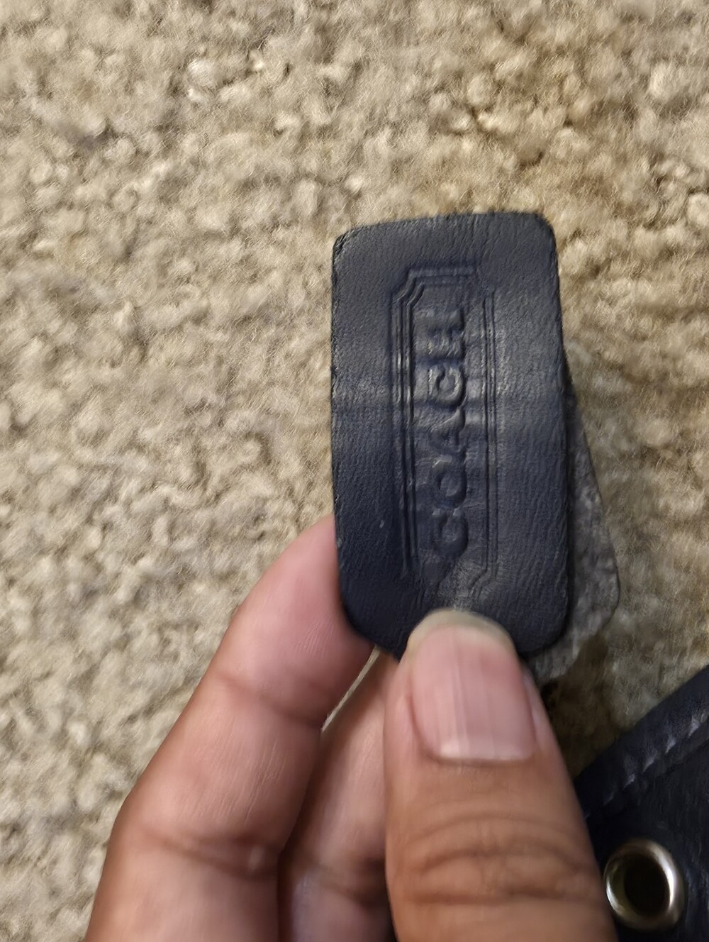 Coach - Picture 4 of 8